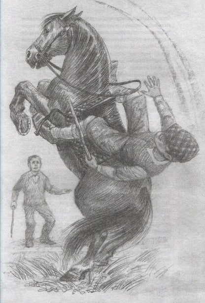 Фотография книги "Сьюэлл: Чёрный Красавчик"