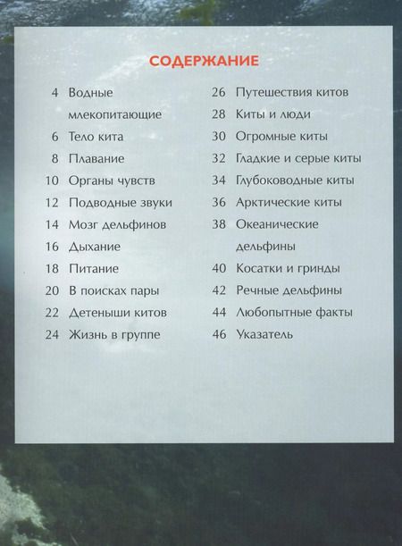 Фотография книги "Сюзанна Дэвидсон: Киты и дельфины"