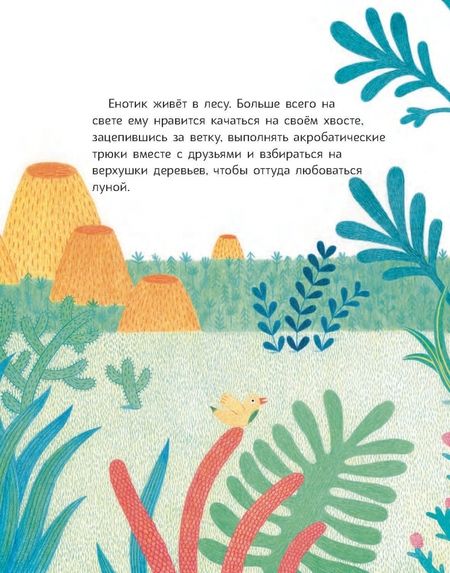 Фотография книги "Сюзанна Изерн: Енотик хочет быть первым"