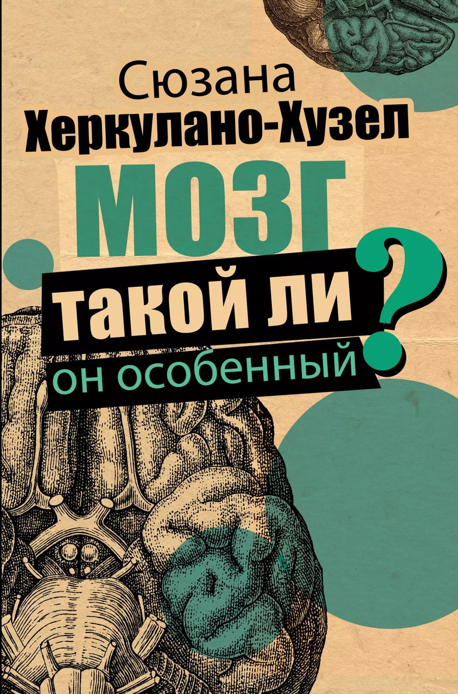 Обложка книги "Сюзанна Херкулано-Хузел: Мозг. Такой ли он особенный?"