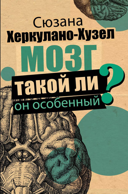 Обложка книги "Сюзанна Херкулано-Хузел: Мозг. Такой ли он особенный?"