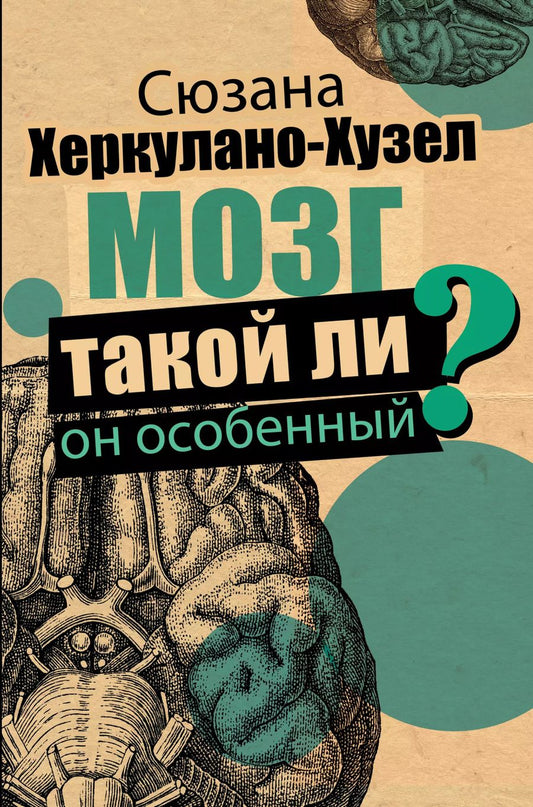 Обложка книги "Сюзанна Херкулано-Хузел: Мозг. Такой ли он особенный?"