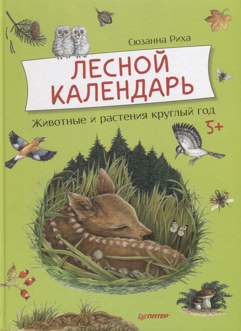 Обложка книги "Сюзанна Риха: Лесной календарь"