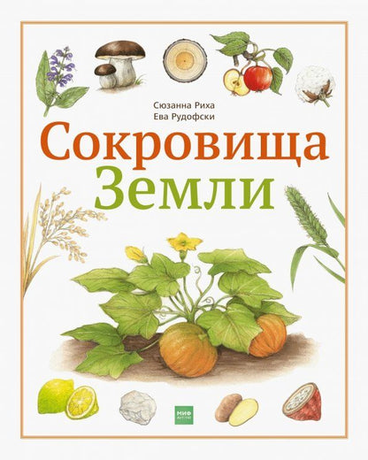 Обложка книги "Сюзанна Риха: Сокровища Земли"