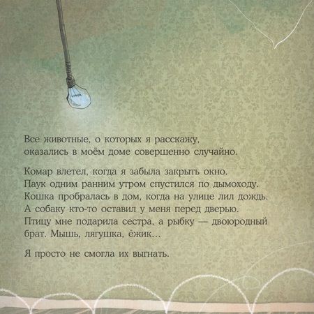 Фотография книги "Т. Козикоглу: Стеснительный пес Роб"