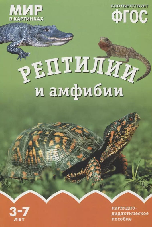 Обложка книги "Т. Минишева: Рептилии и амфибии. Наглядно-дидактическое пособие. ФГОС"