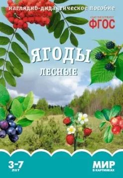 Обложка книги "Т. Минишева: Ягоды лесные. Наглядно-дидактическое пособие. ФГОС"