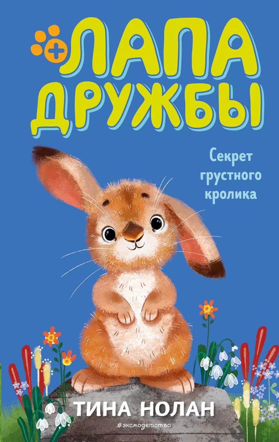 Обложка книги "Т. Нолан: Секрет грустного кролика (#12)"