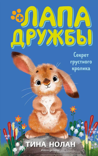 Обложка книги "Т. Нолан: Секрет грустного кролика (#12)"