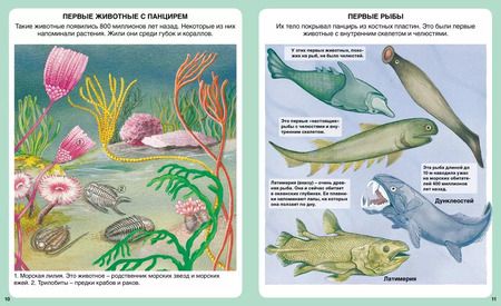Фотография книги "Тайны моря"