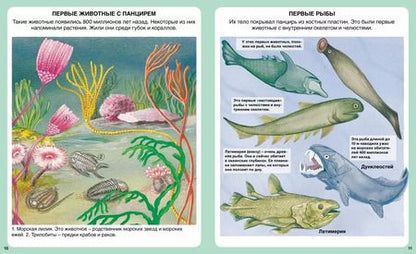 Фотография книги "Тайны моря"