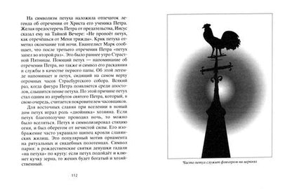 Фотография книги "Тайны символов. Зашифрованные знаки тайных обществ, архитектуры, мифологии, искусства, истории"