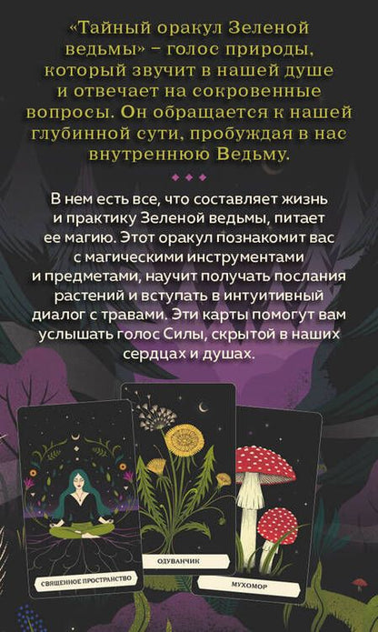 Фотография книги "Тайный оракул Зеленой ведьмы (50 карт и руководство в подарочном оформлении)"
