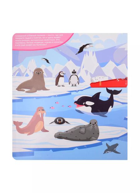 Фотография книги "Такие разные животные.100 окошек"