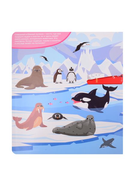 Фотография книги "Такие разные животные.100 окошек"