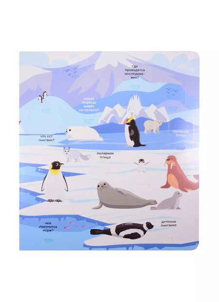 Фотография книги "Такие разные животные.100 окошек"