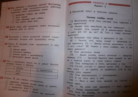 Фотография книги "Тамара Круглова: Литературное чтение. 2 класс. Промежуточные и итоговые тестовые работы. ФГОС"