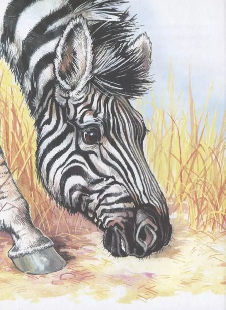 Фотография книги "Тамара Крюкова: Динозаврик ищет маму"