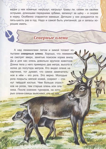 Фотография книги "Тамара Николаева: Там, на неведомых дорожках..."