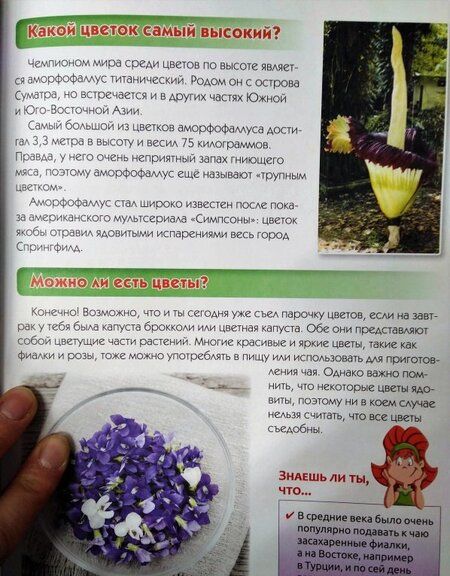 Фотография книги "Тамара Скиба: Большая детская энциклопедия. 1234 вопроса - 1234 ответа"