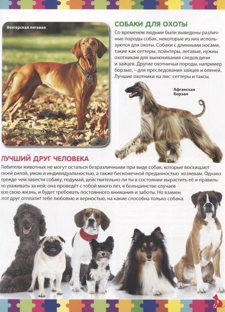 Фотография книги "Тамара Скиба: Моя первая книга о собаках и щенках. Детская энциклопедия"
