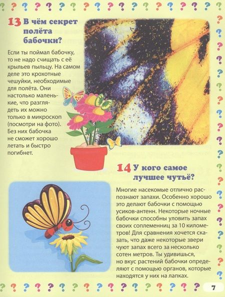 Фотография книги "Тамара Скиба: Насекомые. 130 правильных ответов на 130 детских вопросов"