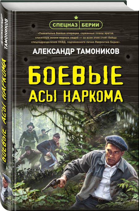 Фотография книги "Тамоников: Боевые асы наркома"
