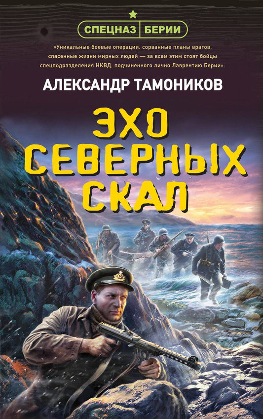 Обложка книги "Тамоников: Эхо северных скал"
