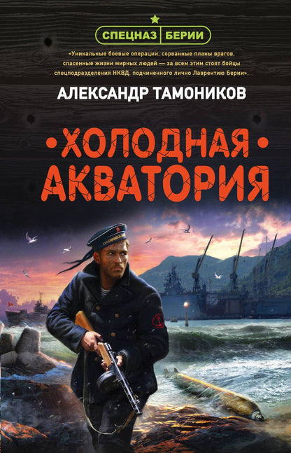 Обложка книги "Тамоников: Холодная акватория"