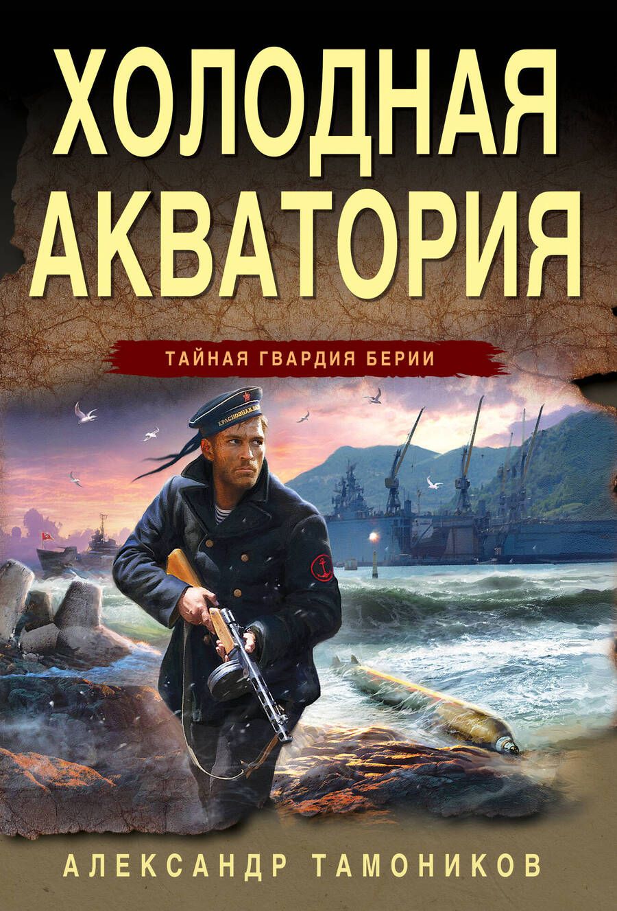 Обложка книги "Тамоников: Холодная акватория"