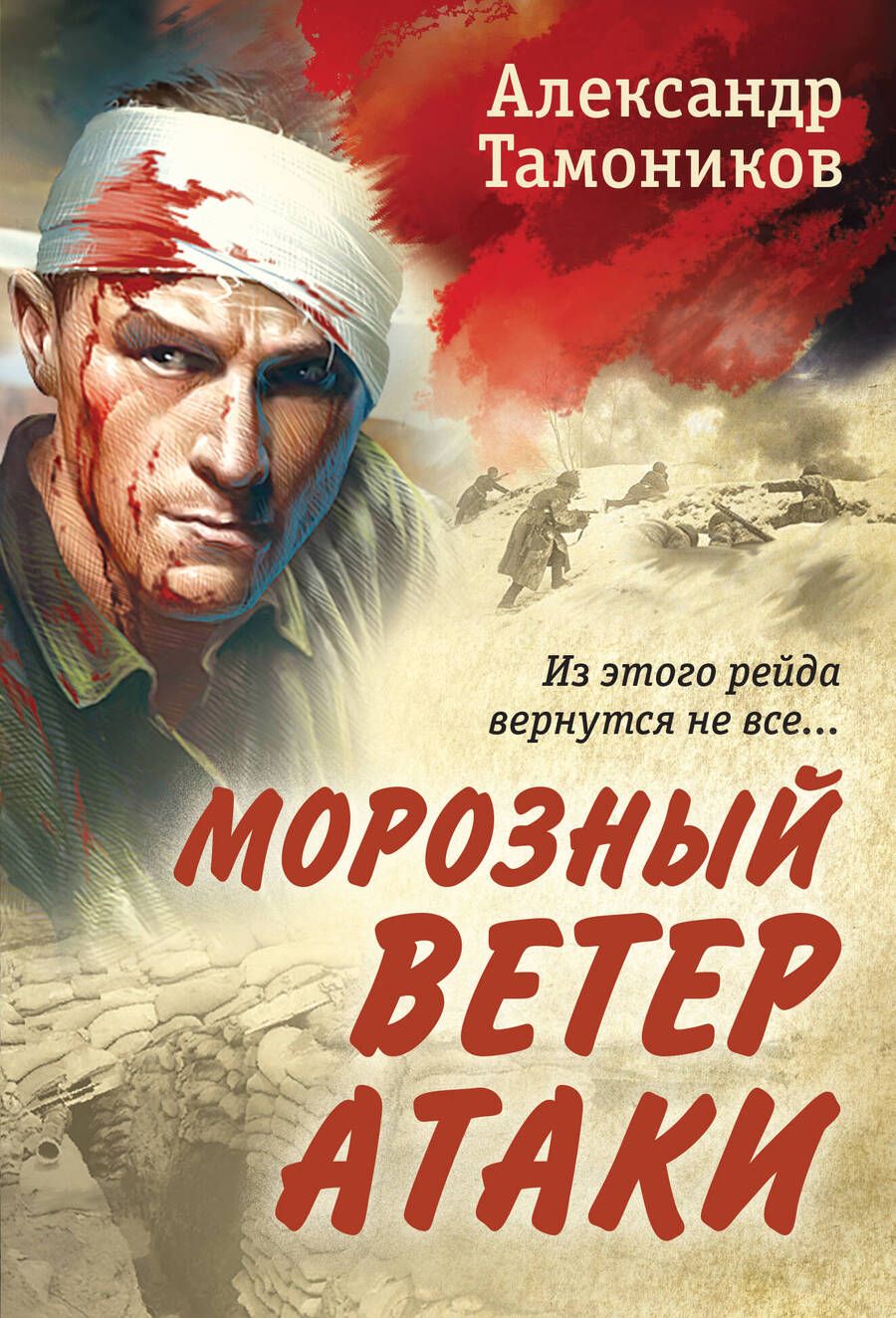 Обложка книги "Тамоников: Морозный ветер атаки"