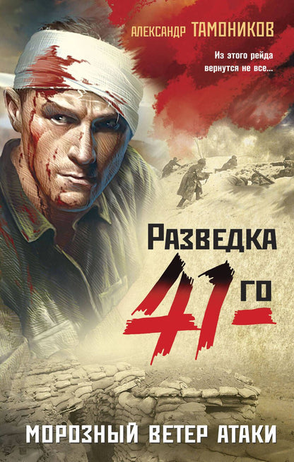 Обложка книги "Тамоников: Морозный ветер атаки"
