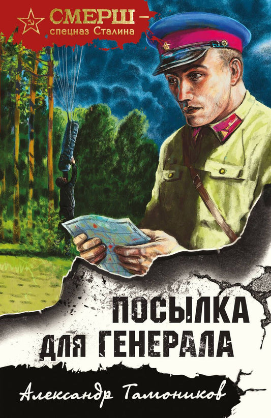 Обложка книги "Тамоников: Посылка для генерала"