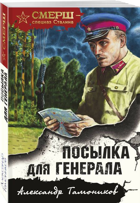 Фотография книги "Тамоников: Посылка для генерала"