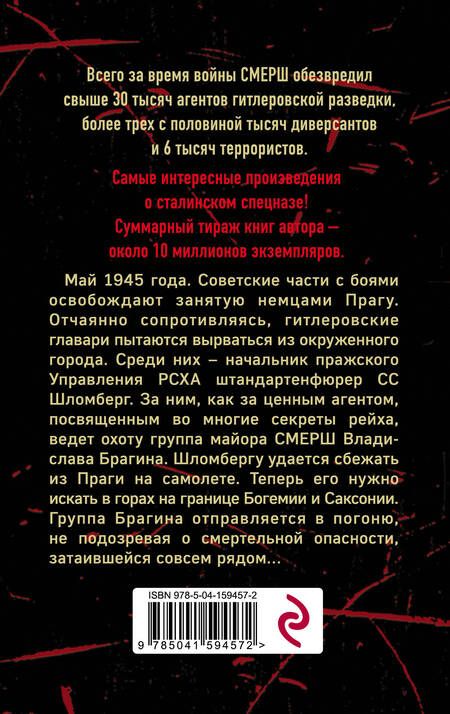 Фотография книги "Тамоников: Следы со свастикой"