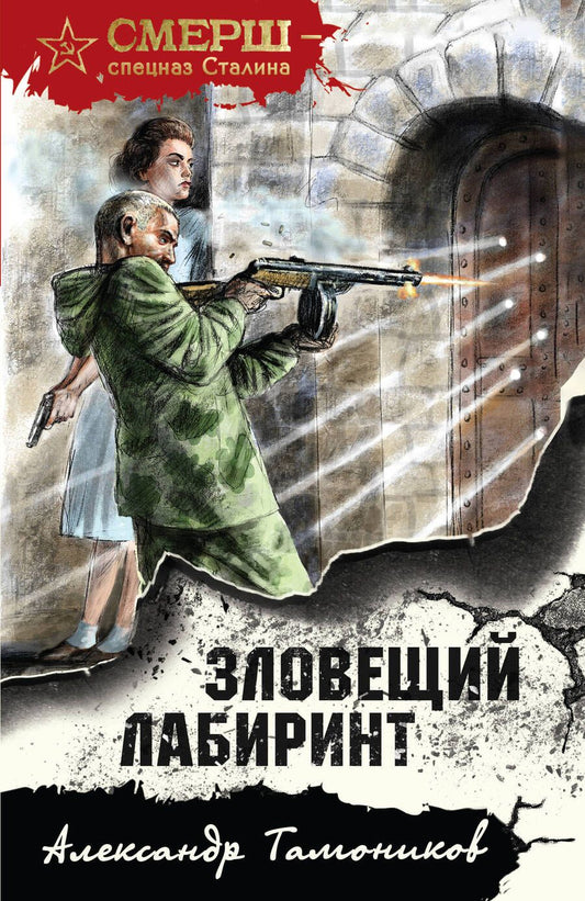 Обложка книги "Тамоников: Зловещий лабиринт"