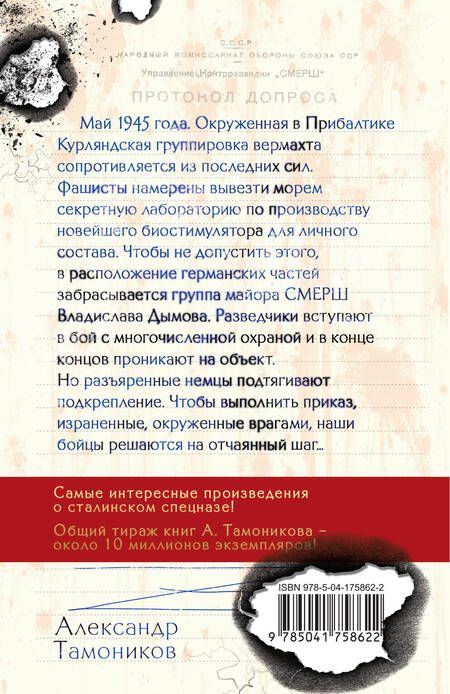 Фотография книги "Тамоников: Зловещий лабиринт"