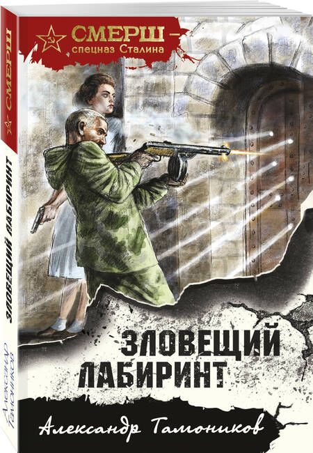 Фотография книги "Тамоников: Зловещий лабиринт"
