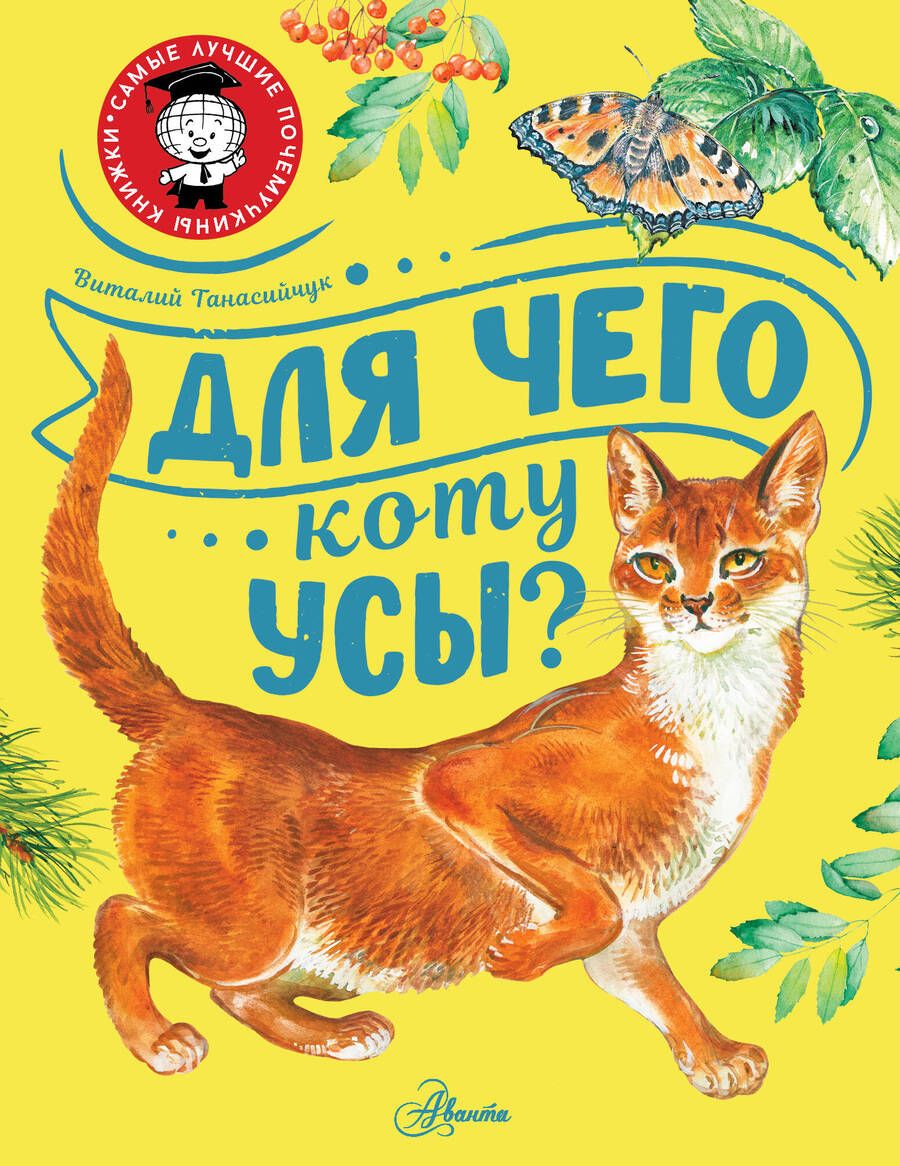 Обложка книги "Танасийчук: Для чего коту усы?"