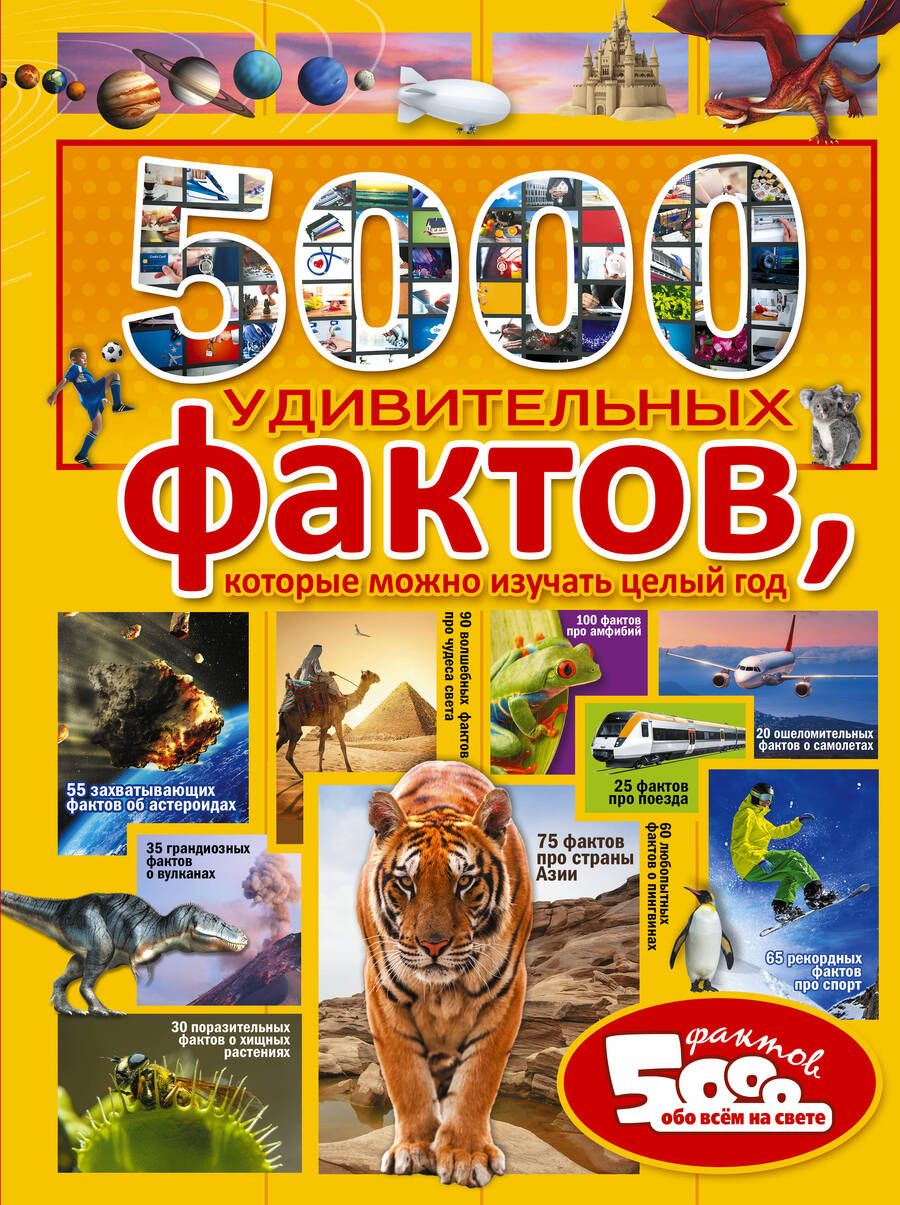 Обложка книги "Тараканова, Спектор, Шибко: 5000 удивительных фактов, которые можно изучать целый год"