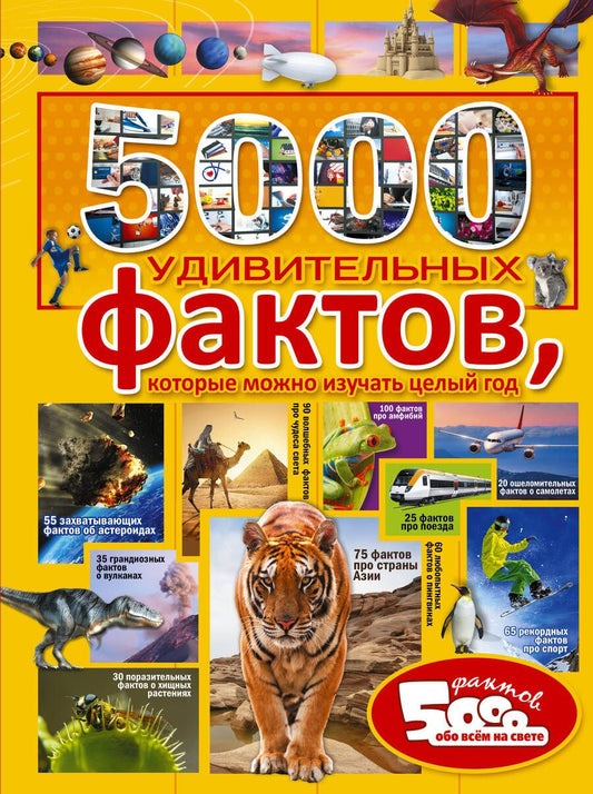 Обложка книги "Тараканова, Спектор, Шибко: 5000 удивительных фактов, которые можно изучать целый год"
