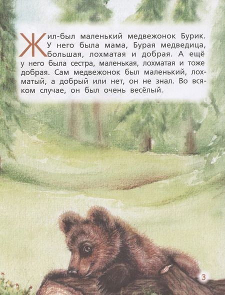 Фотография книги "Татьяна Александрова: Медвежонок Бурик"