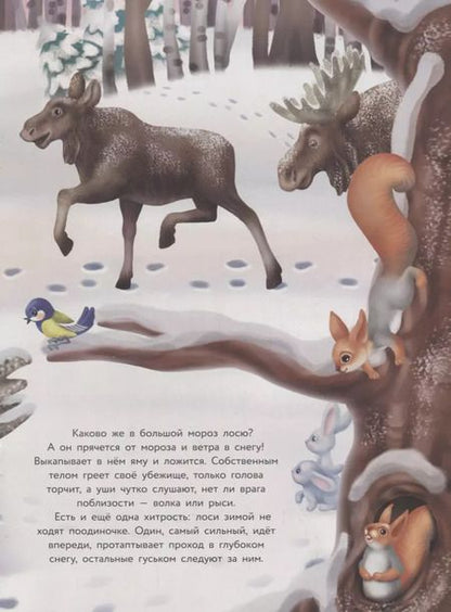 Фотография книги "Татьяна Александрова: Многоразовые наклейки. Кто как зимует"