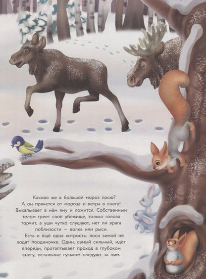 Фотография книги "Татьяна Александрова: Многоразовые наклейки. Кто как зимует"