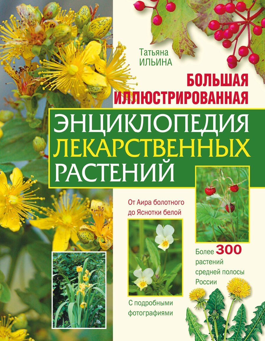 Обложка книги "Татьяна Александровна: Большая иллюстрированная энциклопедия лекарственных растений"