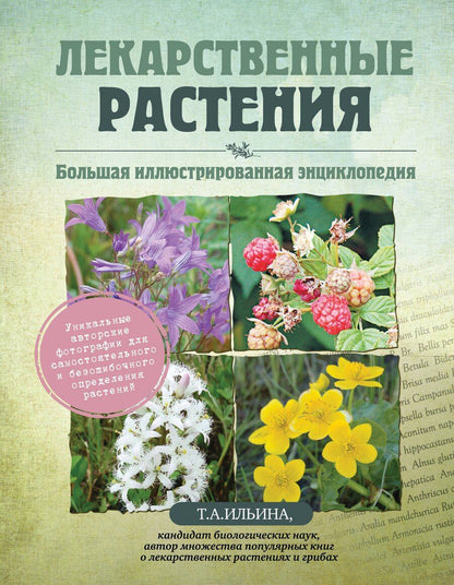 Обложка книги "Татьяна Александровна: Лекарственные растения. Большая иллюстрированная энциклопедия"
