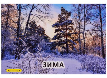 Фотография книги "Татьяна Бойченко: Карточки для умного развития. Времена года"