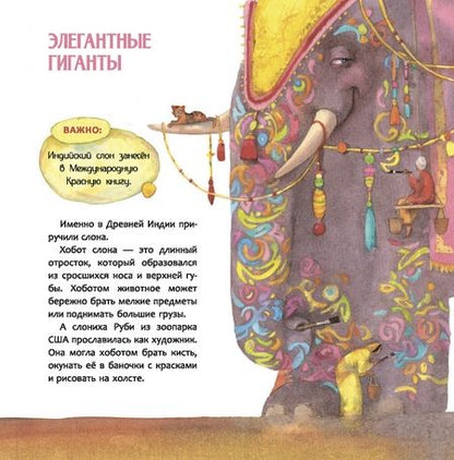 Фотография книги "Татьяна Бреслава: Индия. Страна мудрецов"