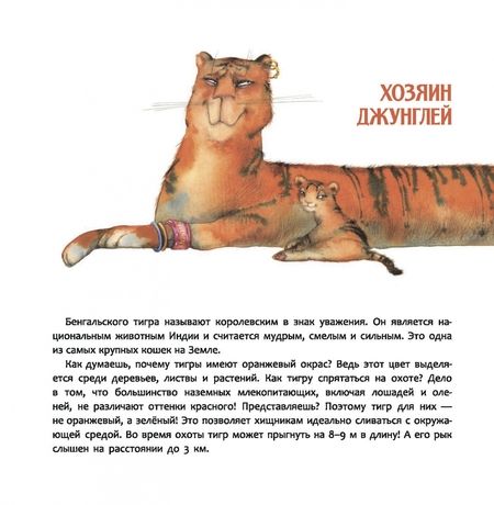 Фотография книги "Татьяна Бреслава: Индия. Страна мудрецов"