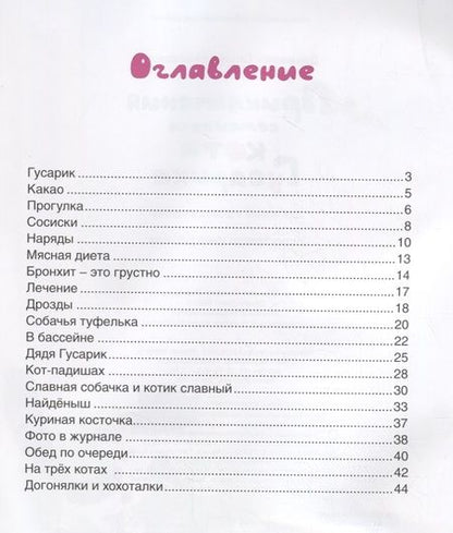 Фотография книги "Татьяна Дашкевич: Приключения семейного кота Гусарика"